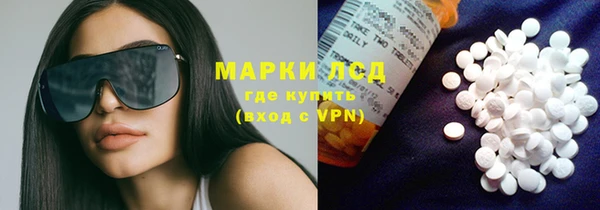 a pvp Каменногорск