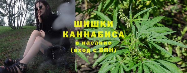 a pvp Каменногорск