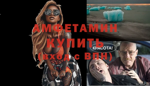 a pvp Каменногорск