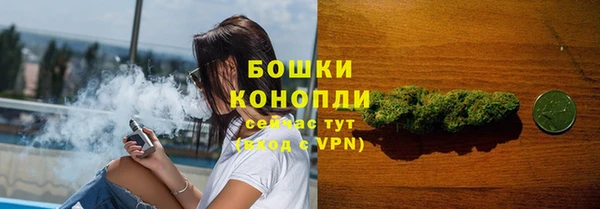 a pvp Каменногорск